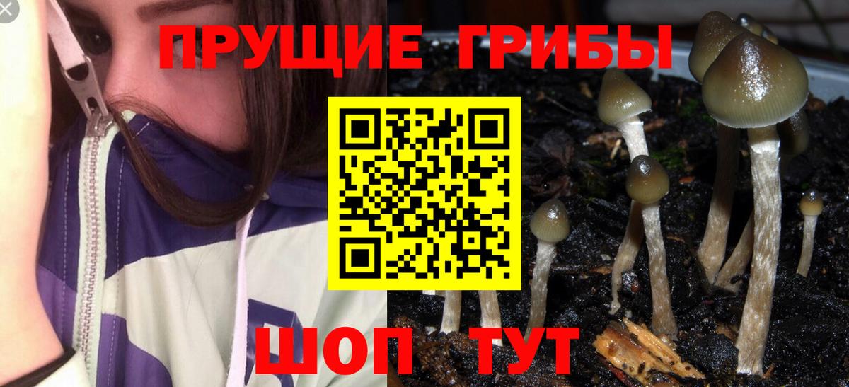 Галлюциногенные грибы Cubensis Учалы